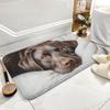 1pc [] Chocolate Labrador Realistic Painting Doormat, Plush Flannel Polyester Floor Mat, Non-Slip Rubber Bottom, Machine Washabl