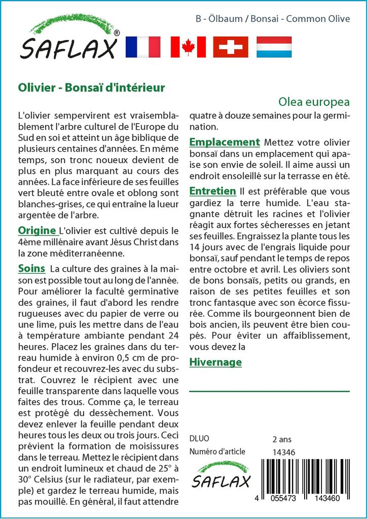 SAFLAX Garden in the Bag - Бонсай - Олива обыкновенная - 20 семян - С субстратом в подходящем пакете - Olea europea