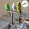 Wooden Stand Mini Wear-resistant Lightweight Bird Wooden Stand for Macaws