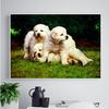 5D DIY Diamond Painting Cute Puppies Diamond Embroidery Mosaic Cross Stitch Rhinestone