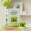 Compatible Music Flower Box: Secret Language Building Blocks, Preserved Flower Bouquet, Handmade Ornament, New Year Gift.