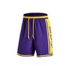 NBA Los Angeles Lakers Letter Series Quick-Dry Sports Short Basketball Shorts Men Shorts Purple Amarillo-Yellow DZ3681-504