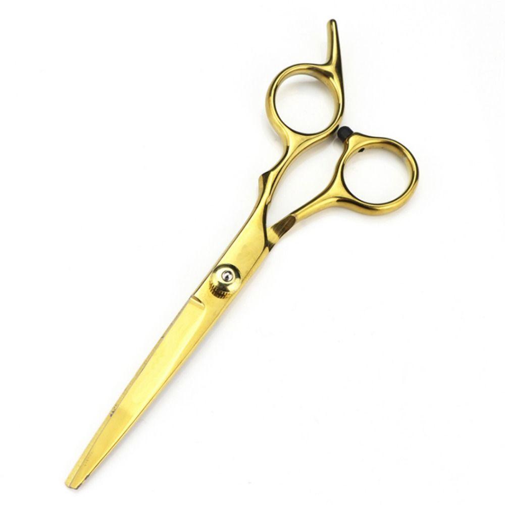 Нержавеющая сталь парикмахерские ножницы 6.0 дюймов парикмахерские ножницы для стрижки волос парикмахерская