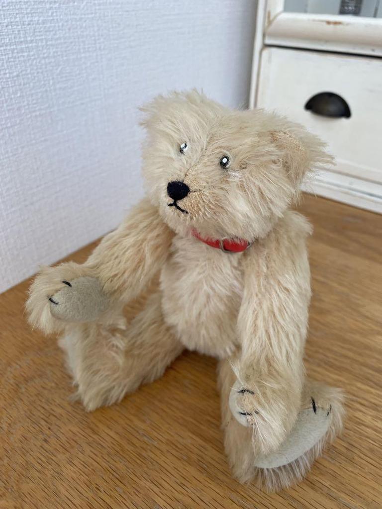 [USED] Teddy Bear