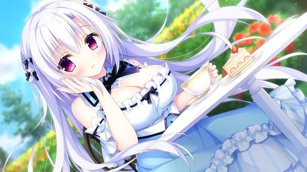 Square KemonomichiGirlish -Switch