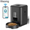 2L Pet Feeder Timing Smart Automatic Dog Pet Feeder для кошек Dog Button WIFI APP Интеллектуальный дозатор сухого корма для собак Миска для собак