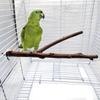 1 шт. Жердочка для птиц, натуральная виноградная ветка, ветки для стачивания когтей, жевательная игрушка-подставка для птиц, аксессуары для клетки для маленьких волнистых попугайчиков, корелл, неразлучников