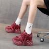Inner Height Increase Dad Shoes Women's 2025 Autumn New Retro Old Casual Shoes Muffin Platform Versatile Trend Women's Shoes