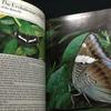[USED] Butterfly Hong Kong Picture Book Foreign Book Butterfly Butterflies Butterfly