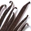 Vanilla Beans Made In A Grade Bourbon Sweets Homemade Great Value 18-20cm, Pesticide-free, Indonesia, Vanilla, Vanilla, Making, Extract, (12 Bottles)