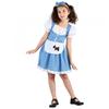 Childrens/Girls Fairy Tale Girl Costume