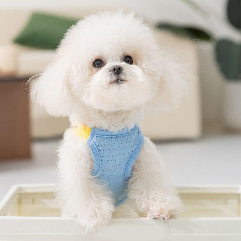 Мультяшный жилет для собаки, дышащая одежда для щенка, товары для питомцев, тонкая футболка для собаки, кошки