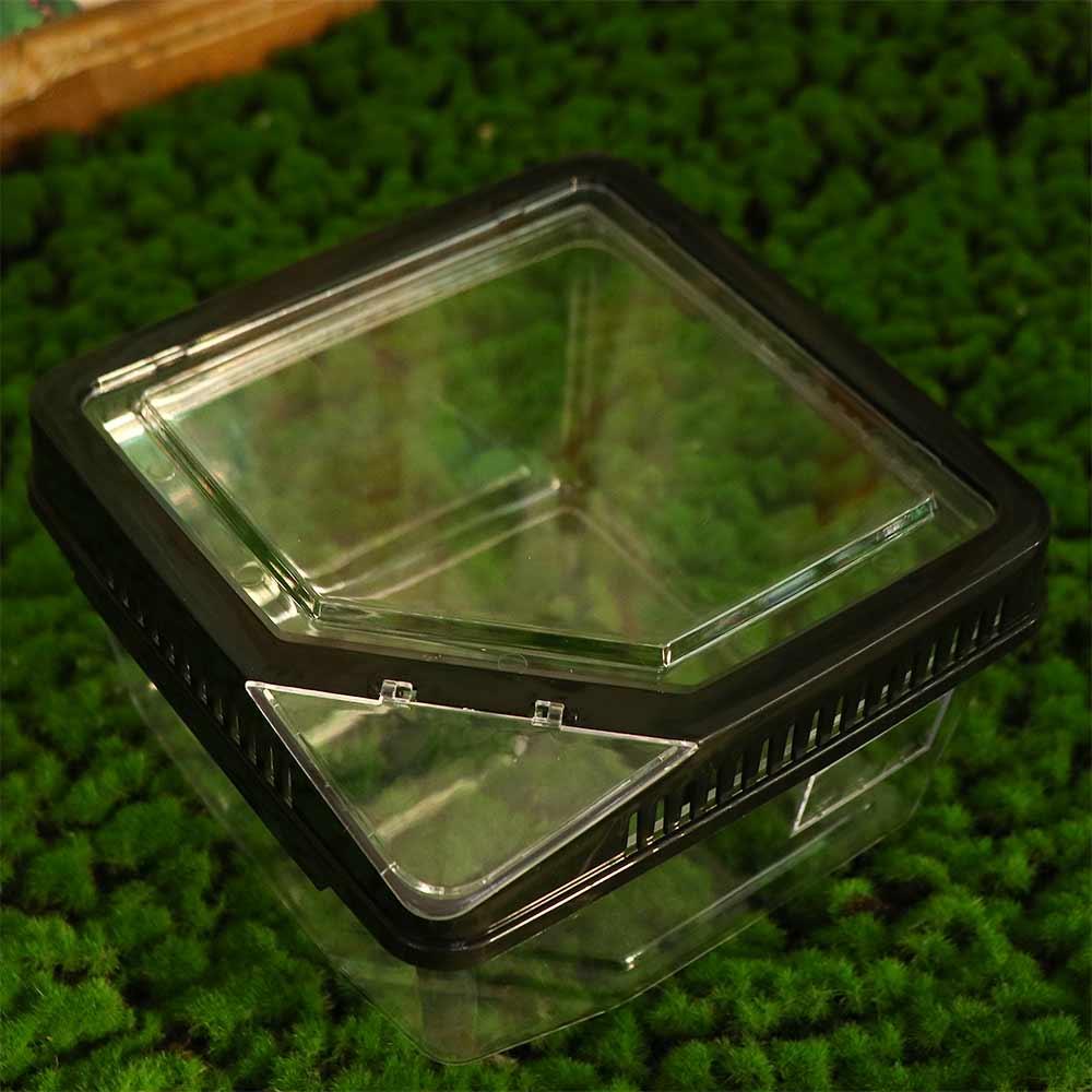 Пластиковый контейнер для рептилий Прозрачный контейнер для выращивания ящериц Противопобеговый террариум для рептилий Улитка