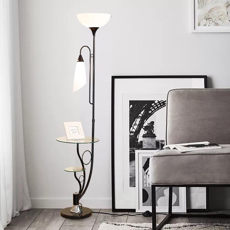 OEING Modern Minimalist Floor Lamp