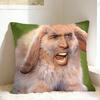 Pillow Case Cozy N-Nicolas Cage Design  Pillow Cover For Office Car Home Decor Retro Trendy Pillowcases