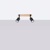 Fager 2 ceiling lamp black