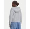 Толстовка Tommy Jeans DW0DW21147