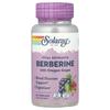Berberine Root Extract, Advanced Formula, 60 Veggie Caps