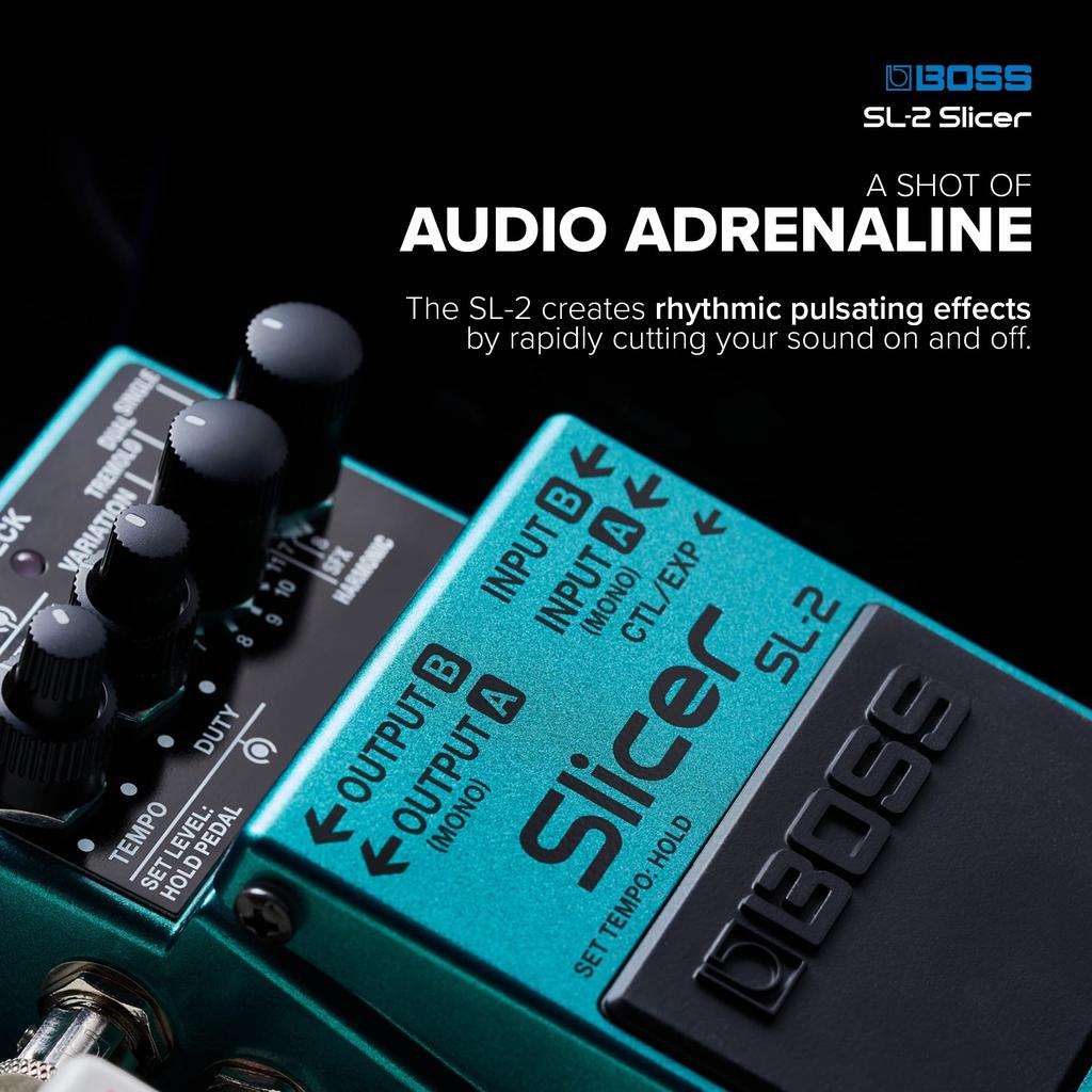 BOSS/SL-2 Slicer BOSS Slicer SL2