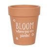 Bloom Where You Are Planted Terracotta Plant Pot