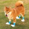 20 Disposable Pet Foot Boots For Real, Cats And Dogs Feet, Pet , Dog Supplies With Blue Bandage