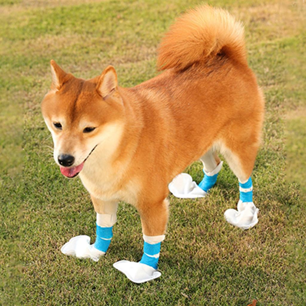 20 Disposable Pet Foot Boots For Real, Cats And Dogs Feet, Pet , Dog Supplies With Blue Bandage