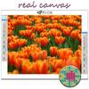 Diamond Painting Flowers Tulips Embroidery Cross Stitch Rhinestone Home Decor