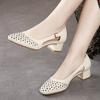 Fashion Leather Sandals For Women With Medium Heels Footwear Summer 2024 Ladies Shoes Office Work Square Vintage Vip Stylish Offer