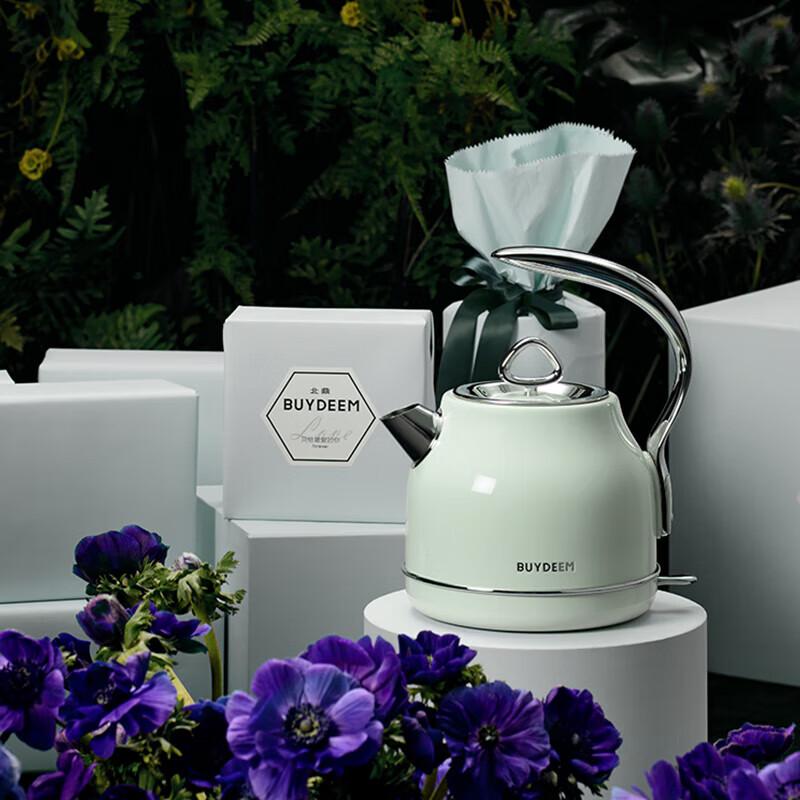 Buydeem K203 1.2L Stainless Steel Electric Kettle CN plug (adapter included)