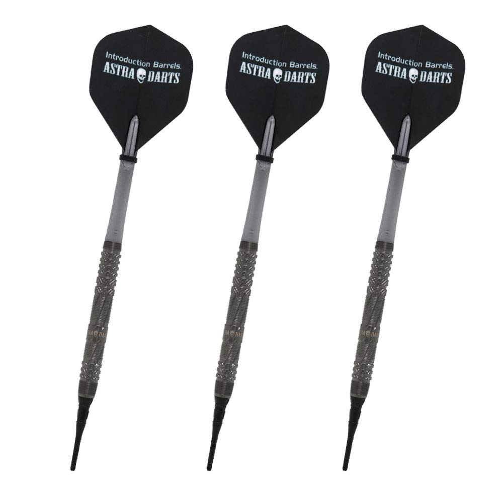 Dynasty ASTRA DARTS DRAGOON3 Dragoon 3 2BA Ryuki Morikubo Player Model Dart Barrel Dart Set