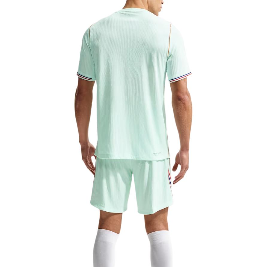Nike Франция 2026 Матч Выездная Иглу/Монарх/Монарх Мужские Топы Зеленый IB5200-394