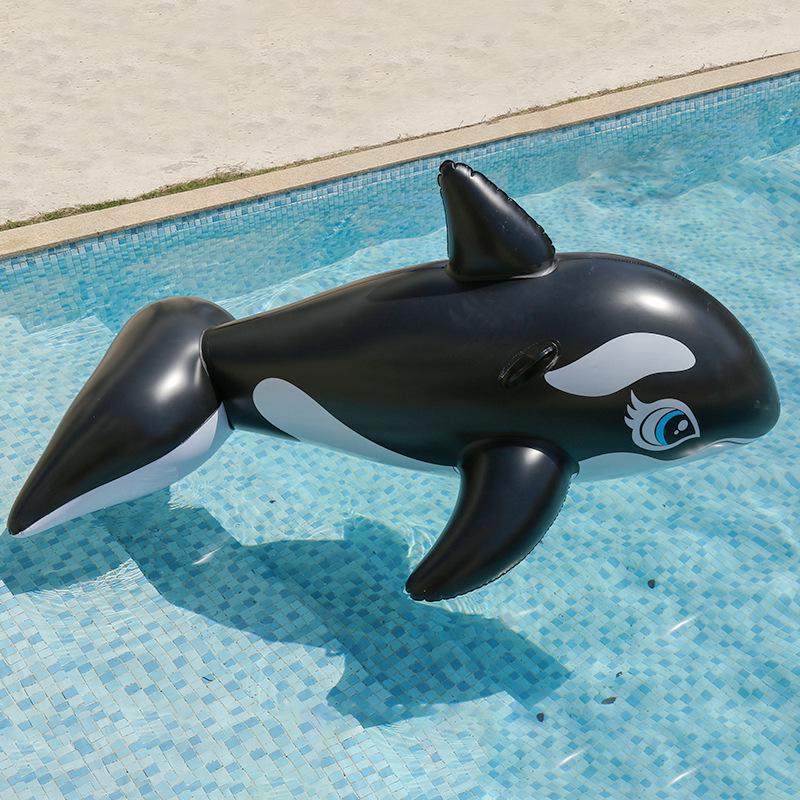 Inflatable Whale & Dolphin Surf Ride for Kids & Adults