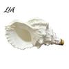 Flexible Water Flow Spout Coastal Seashell Wall-Mount Faucet, Conch Shape Bathroom Sink Ocean Resistant PET Faucet Theme Decorative Tap for