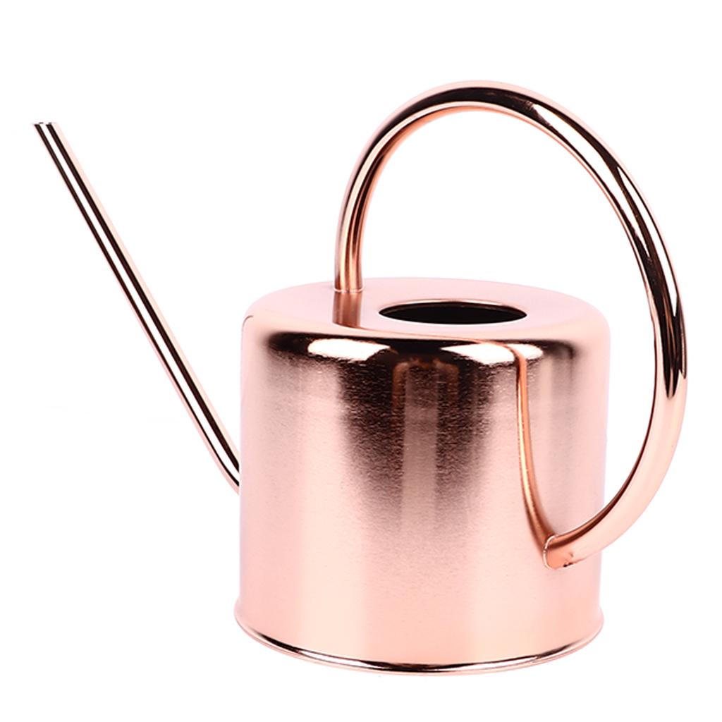 Watering Can Stainless Steel Large Capacity Retro Small Long Spout Water Can for Home Garden