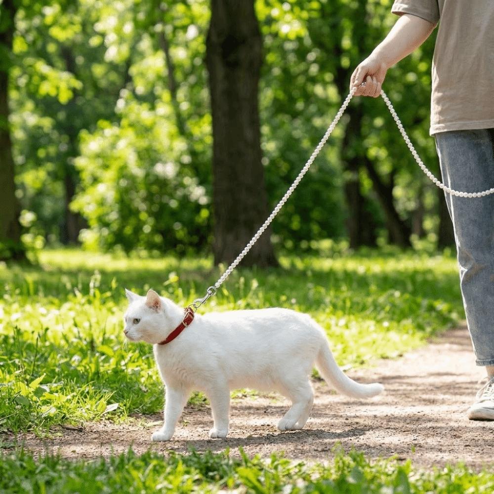 Artificial Pearl Dog Lead Leash Anti-Escape Dog Walking Lead Pet Traction Rope for Dogs Cats
