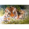 Tiger Full Diamond Embroidery 5D Diamond Painting Round Cross Stitch 3D Diamond Mosaic Needlework
