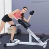 Adjustable Roman Chair Back Extension Exercise Bench Back Training Supine Board