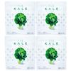 Kyusai Green Juice Kale Powder 420 г 30 дней Оптовая закупка 4 пакетов (приблизительно. поставка)
