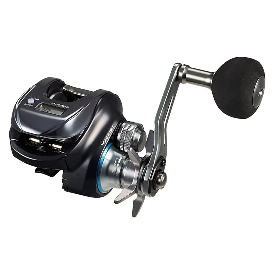 DAIWA Baitcasting Reel with Counter 25TIERRA IC 150XHL-C