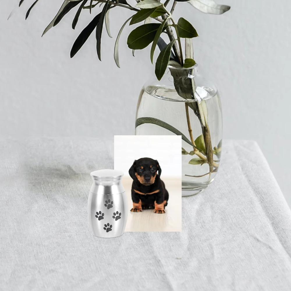 Mini Pet Ashes Box Waterproof Pet Cremation Urn Practical Keepsake Burial Jar Pet Funeral Supplies