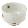 Marui Seito Shigaraki Ware Hechimon Matcha Tea Bowl Diameter Approximately 11cm Cherry White MR-3-4122