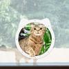 4 Ways Locking Flap Cat Door Sturdy Construction Cats Window Gate Cute Pet Screen Door  Small Pets