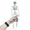 People Active Model Skeleto Anatomy Skeleton Skeleton Model Medical Learning Halloween Party Decoration Skeleton Art Sketch