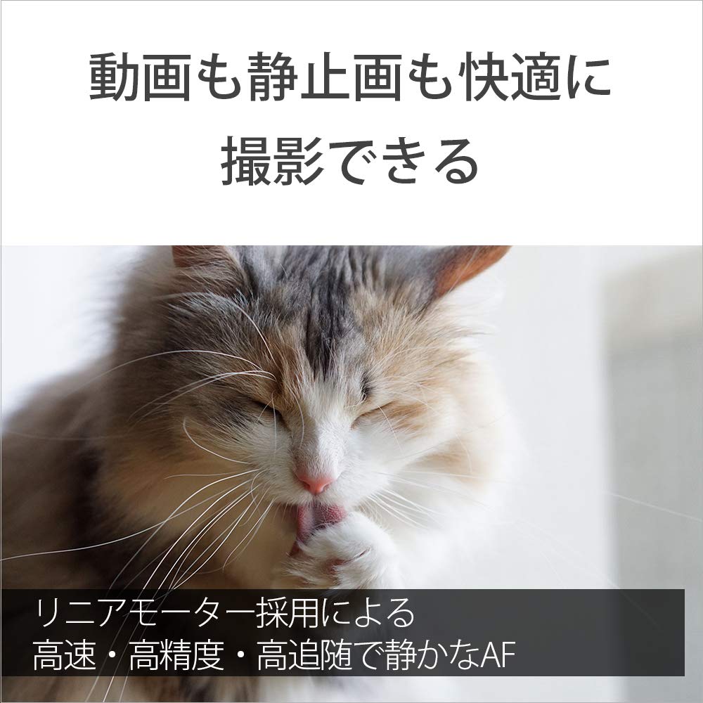 Sony Стандартный однофокусный объектив Sonnar FE 55 мм ZA, полноразмерный объектив Zeiss для цифровой однообъективной камеры, оригинальный объектив SEL55F18Z T F1.8 [крепление E]