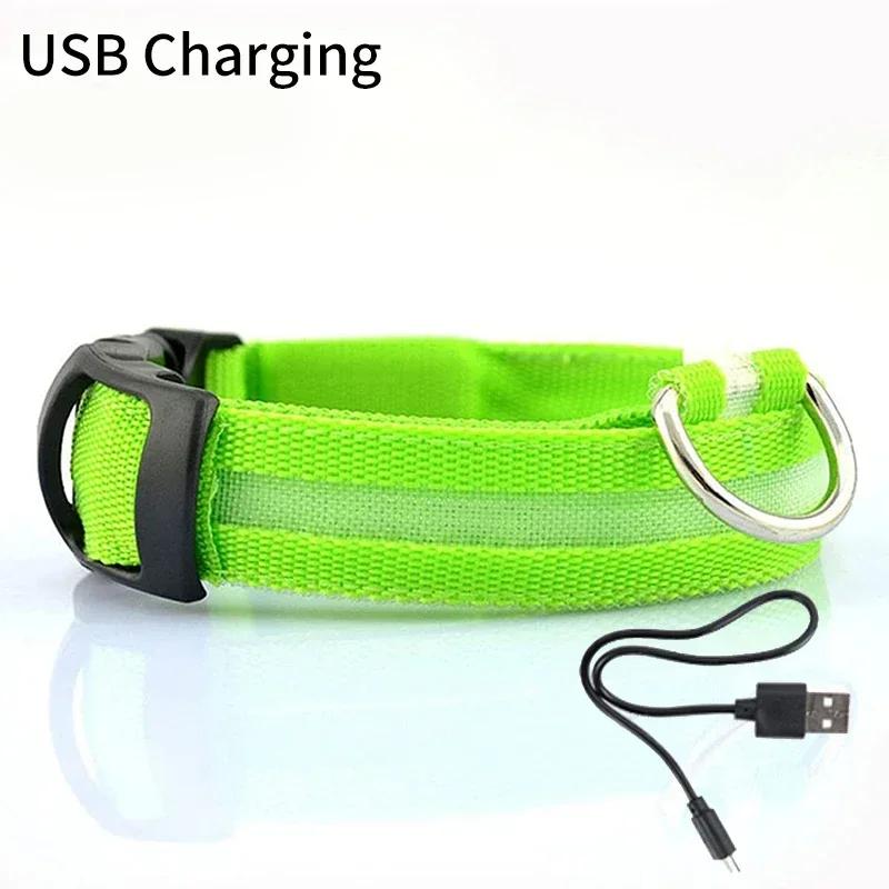 Светодиодный светящийся ошейник для собаки, USB-зарядка, ночник, светящийся мигающий ожерелье, защита от потери, безопасность при прогулках на улице, Аксессуары