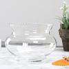 Круглый стеклянный аквариум с кружевом - Мини-прозрачный аквариум для золотых рыбок и черепах