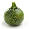 25 Round Zucchini Seeds