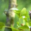 Bezdrátový teploměr vlhkoměr s dálkovým senzorem a vysílačem pro meteostanici, nástroj pro měření teploty a vlhkosti