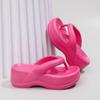 Fashion Litfun Female Outdoor Beach Shoes Bathroom Slides Fashion Thick Bottom Flip Flops Women Summer Indoor Home Platform Sandals
