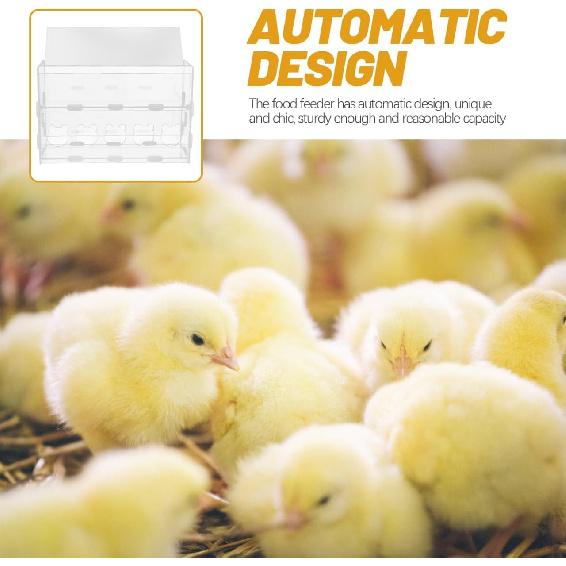 POPETPOP Перепелиная прозрачная кормушка Рутин Кормушка для цыплят Коробка для корма для маленьких птиц Контейнер для воды для цыплят/утят/перепелов/рутинов Коробка-брудер для цыплят
